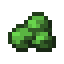 Green Xychorium Fragment