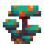 Warped Fungus Colony