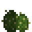 Arid Garden