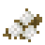 Cotton