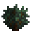 Frost Garden