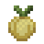 Onion