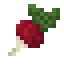 Radish