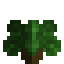 Tropical Garden