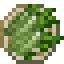 Cantonese Greens
