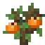 Orange Sapling