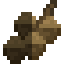 Acorn Fruit