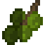 Almond Fruit