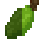 Breadfruit Fruit