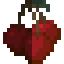 Cherry Fruit