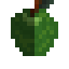 Guava Fruit