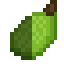 Jackfruit Fruit