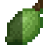 Lime Fruit