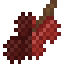 Lychee Fruit