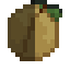 Nutmeg Fruit