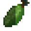 Pawpaw Fruit