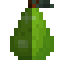 Pear Fruit