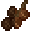 Pecan Fruit