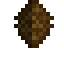 Pinenut Fruit