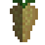 Pistachio Fruit