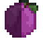 Plum Fruit