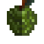 Soursop Fruit