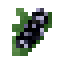 Black Aztec Corn
