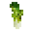 Bok Choy