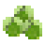Brussels Sprout