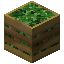 Butterhead Lettuce Crate