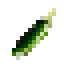 Jalapeno