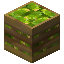 Monstera Deliciosa Crate