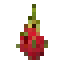 Питайя
