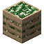 Spring Onion Crate
