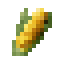 Yellow Dent Corn