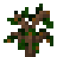 Саженец нектарина