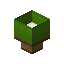 Lime Lamp