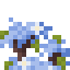 Blue Magnolia Shrub