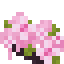 Cherry Shrub