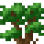 Dark Oak Shrub