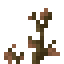 Dead Shrub