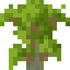 Eucalyptus Shrub