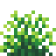 Lime Snowbelle