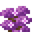 Mauve Shrub