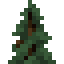 Spruce Shrub