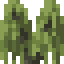 Willow Shrub