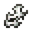 Кора берёзы