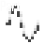 Cord