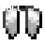 Elytra Wings