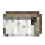 Birch Log